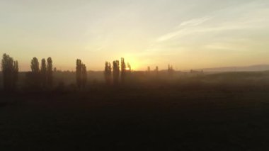 Kırım. Alan. Sunrise. Doğa. Anten. 4k. Drone