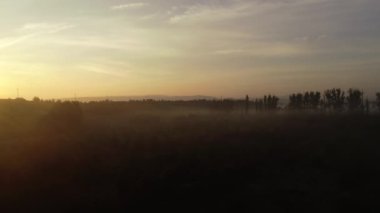 Kırım. Alan. Sunrise. Doğa. Anten. 4k. Drone
