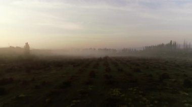 Kırım. Alan. Sunrise. Doğa. Anten. 4k. Drone