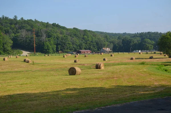 Hay Bales Field — Stock Photo, Image