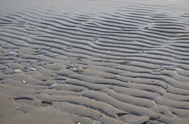 Bazı dalgalar kumsalda