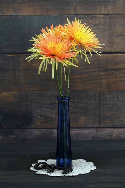 Two Beautiful Spider Mums Blue Vase Rustic Wooden Wall Background — Stock Photo, Image