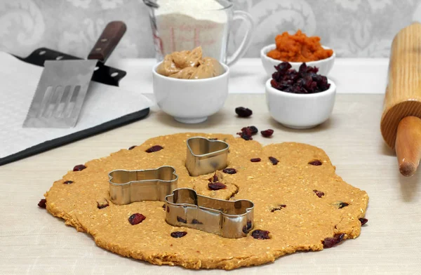 Cozimento de manteiga de amendoim, abóbora, aveia e biscoitos de cão de cranberry . Imagens De Bancos De Imagens Sem Royalties