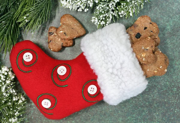 狗饼干 用蓝莓和燕麦做的 来自一个红色圣诞长袜顶部的圣诞绿叶 宏观形象 — 图库照片