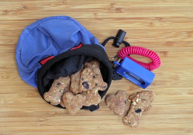 Köpek bisküvileri, kumandalı ve bileklikli bir köpek eğitim çantasından geliyor. Makro üst görünüm.