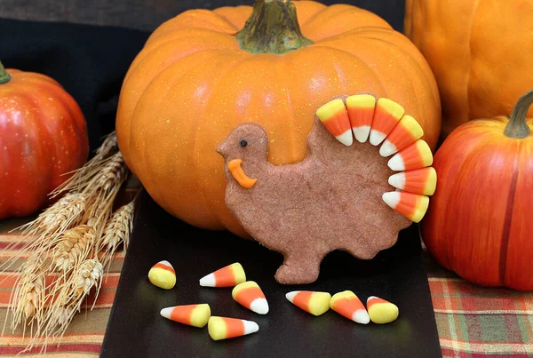 Dekorierte Truthahnkekse Mit Einem Zuckermaisschwanz Thanksgiving Herbstlichen Rahmen — Stockfoto