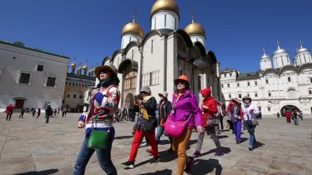 Moscow Rússia Maio 2018 Dentro Moscou Kremlin Rússia Dia — Vídeo de Stock