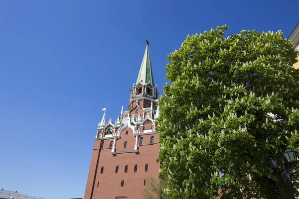 Moskau Russland Mai 2018 Inneren Von Moskau Kremlin Russland Tag — Stockfoto