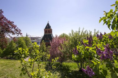 Moskova Kremlin, Rusya (gün içinde)