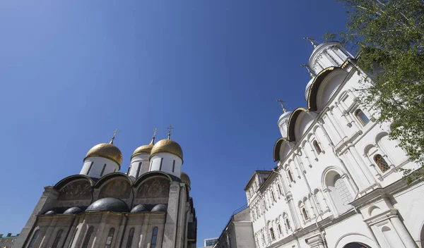 Insidan Moskva Kreml Dag Assumption Katedralen Domkyrkan Dormition Uspensky Sobor — Stockfoto