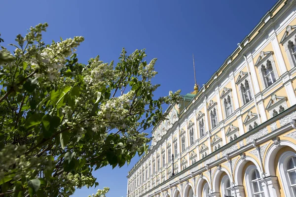 Insidan Moskva Kreml Dag Grand Kremlin Palace — Stockfoto