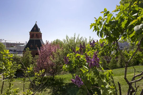 Всередині Кремль Москва День — стокове фото