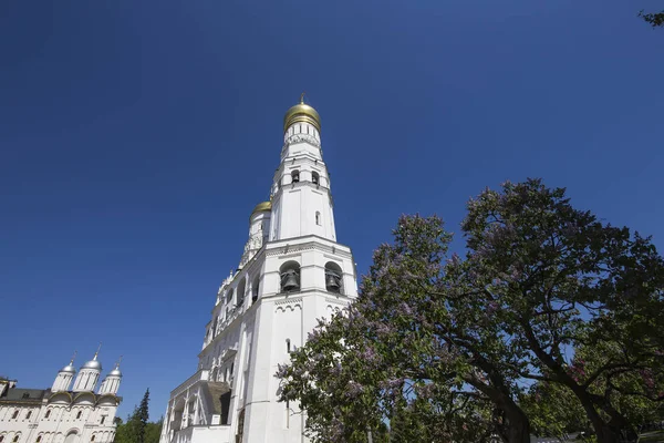 Binnenkant Van Het Kremlin Moskou Dag Ivan Grote Klokkentoren Kolokolnya — Stockfoto