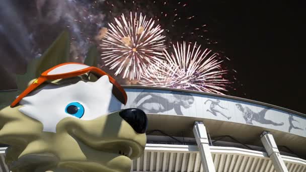 Moscú Rusia Agosto 2018 Fuegos Artificiales Sobre Mascota Oficial Copa — Vídeos de Stock