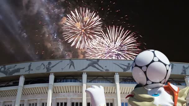 Moscú Rusia Agosto 2018 Fuegos Artificiales Sobre Mascota Oficial Copa — Vídeos de Stock