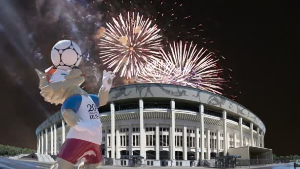 Moscú Rusia Agosto 2018 Fuegos Artificiales Sobre Mascota Oficial Copa — Vídeos de Stock