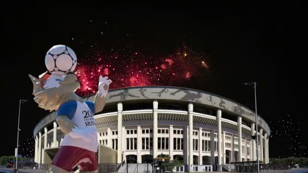 Moscú Rusia Agosto 2018 Fuegos Artificiales Sobre Mascota Oficial Copa — Vídeos de Stock