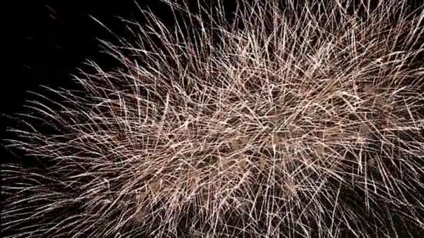 お祝いのカラフルな花火は空で爆発 — ストック動画