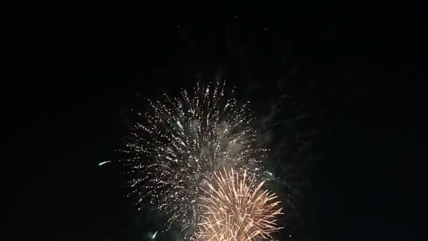 Fuochi Artificio Colorati Celebrativi Esplodono Nei Cieli — Video Stock