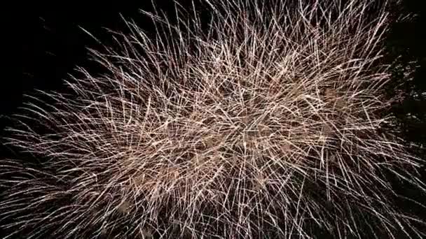 Feestelijke Kleurrijke Vuurwerk Ontploffen Lucht — Stockvideo