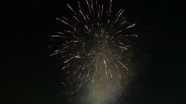 Fuegos Artificiales Colores Celebración Que Explotan Los Cielos — Vídeo de stock