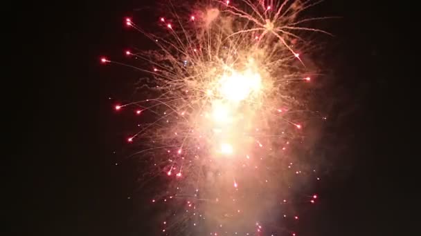 Feestelijke Kleurrijke Vuurwerk Ontploffen Lucht — Stockvideo