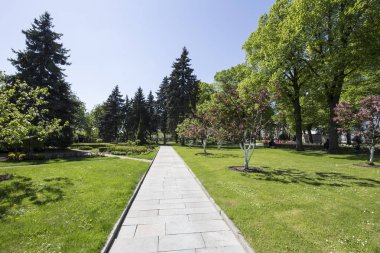Moskova, Rusya 11 Mayıs 2018: Moskova Kremlin, Rusya (gün içinde). 
