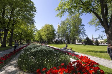 Moskova, Rusya 11 Mayıs 2018: Moskova Kremlin, Rusya (gün içinde). 