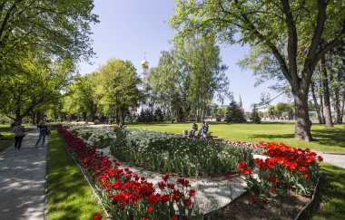 Moskova, Rusya 11 Mayıs 2018: Moskova Kremlin, Rusya (gün içinde). 