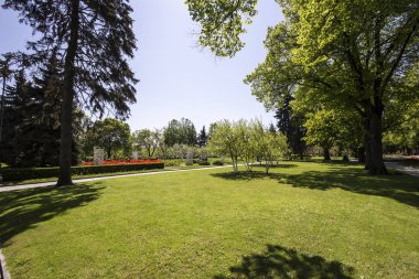 Moskova, Rusya 11 Mayıs 2018: Moskova Kremlin, Rusya (gün içinde). 