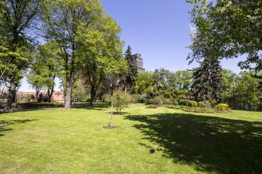 Moskova, Rusya 11 Mayıs 2018: Moskova Kremlin, Rusya (gün içinde). 