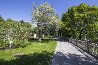 Moskova Kremlin, Rusya (gün içinde). 