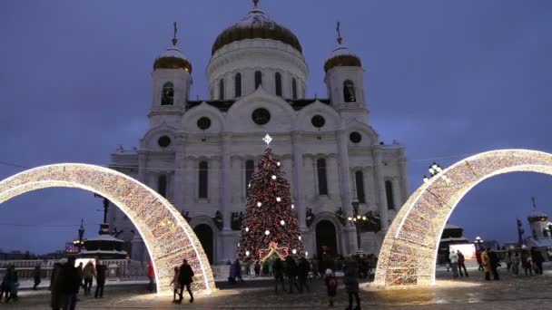 Moscow Russia January 2019 Christmas New Year Holidays Decoration Moscow — Stock Video