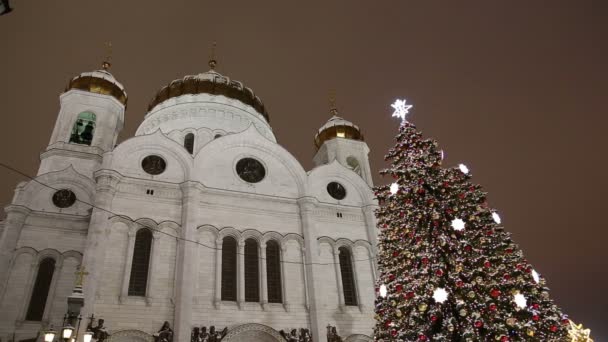 Dekorację Świąteczną Sylwester Moskwie Nocy Rosja Pobliżu Chrystusa Zbawiciela Katedry — Wideo stockowe