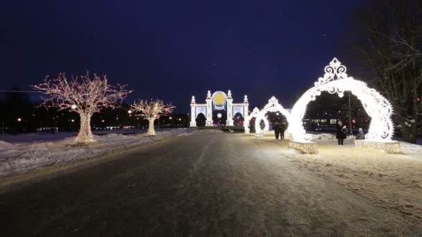 Москва Россия Января 2019 Рождественские Новогодние Праздники Украшения Москве Ночью — стоковое видео