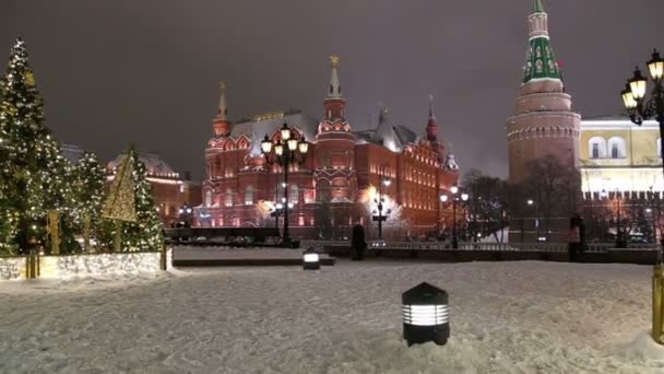 Moscow Russia January 2019 Christmas New Year Holidays Decoration Moscow — Stock Video