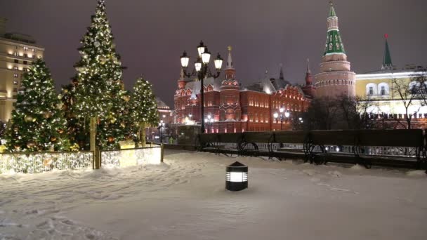 Moscú Rusia Enero 2019 Decoración Navidad Festivos Año Nuevo Moscú — Vídeo de stock