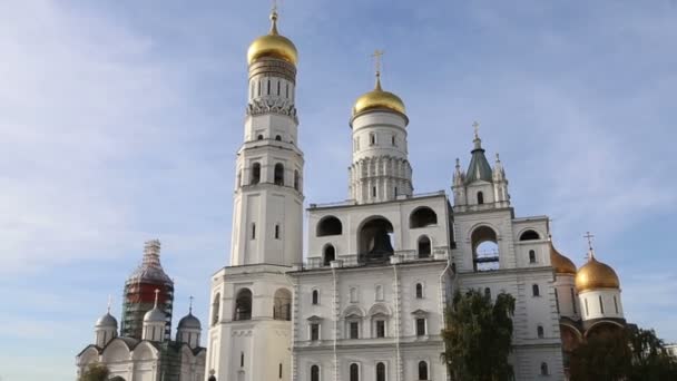 Εσωτερικό Του Κρεμλίνου Μόσχας Ρωσία Ημέρα — Αρχείο Βίντεο