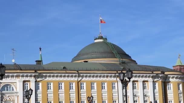 モスクワ 大統領標準 クレムリンの上空ロシア大統領のシンボルでロシアの大統領の居住をロシア国旗 — ストック動画