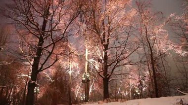 Christmas (yeni yıl tatilleri) dekorasyon (gece), Moskova'da Rusya--serçe Hills(Vorobyovy Gory) 