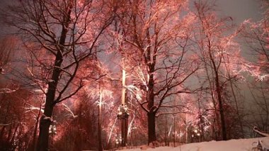 Christmas (yeni yıl tatilleri) dekorasyon (gece), Moskova'da Rusya--serçe Hills(Vorobyovy Gory) 