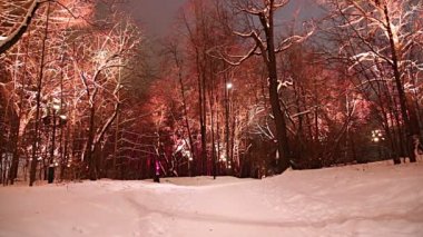 Christmas (yeni yıl tatilleri) dekorasyon (gece), Moskova'da Rusya--serçe Hills(Vorobyovy Gory) 