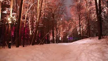 Christmas (yeni yıl tatilleri) dekorasyon (gece), Moskova'da Rusya--serçe Hills(Vorobyovy Gory) 