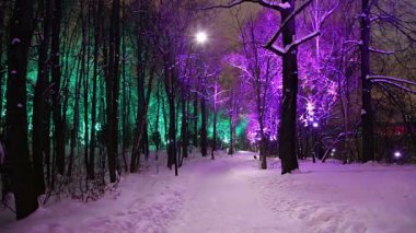 Christmas (yeni yıl tatilleri) dekorasyon (gece), Moskova'da Rusya--serçe Hills(Vorobyovy Gory) 