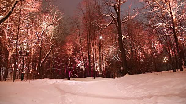 Natal Feriados Ano Novo Decoração Moscou Noite Rússia Sparrow Hills — Vídeo de Stock