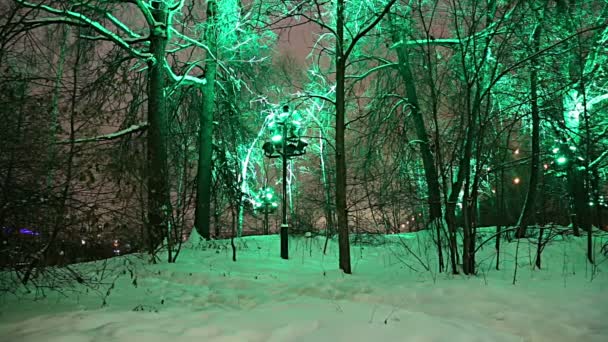 Decoratie Van Kerstmis Nieuwjaars Vakantie Moskou Bij Nacht Rusland Sparrow — Stockvideo