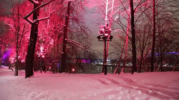 Decoratie Van Kerstmis Nieuwjaars Vakantie Moskou Bij Nacht Rusland Sparrow — Stockvideo