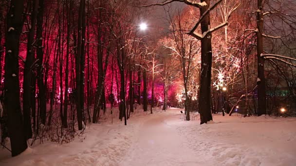 Újévi Ünnepek Karácsonyi Dekoráció Moszkvában Éjjel Oroszország Veréb Hills Vorobyovy — Stock videók