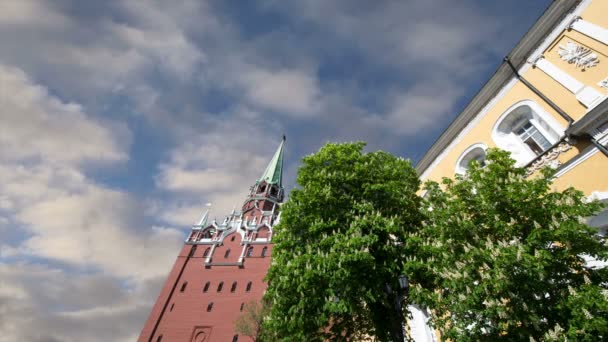 Troitskaya Tower Trinity Tower Ενάντια Στον Ουρανό Εσωτερικό Του Κρεμλίνου — Αρχείο Βίντεο