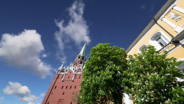 Troitskaya Tower Trinity Tower Ellen Égen Moszkvai Kreml Oroszország Nap — Stock videók